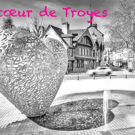 Appartement Hypercentre Troyes Bagian luar foto
